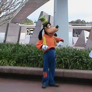 Meet your Posher, Debbie